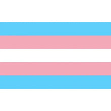 PRIDE - BANDEIRA TRANSEXUAL 90 X 150 - Sexshoptuga  Sexshoptuga 