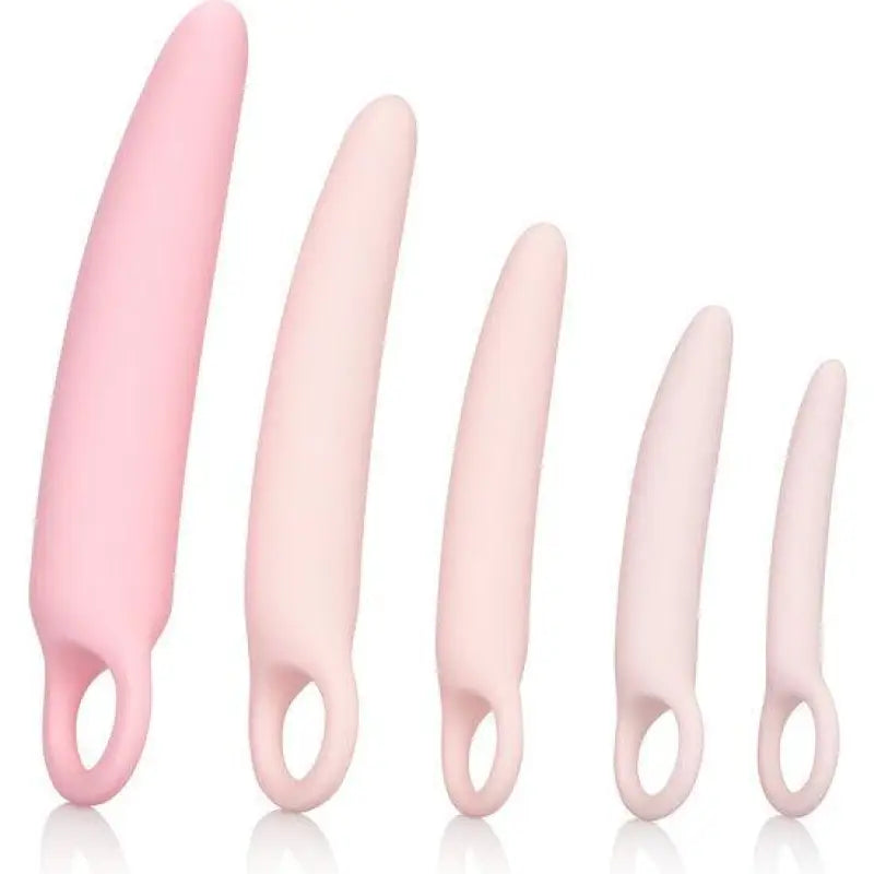 CALEXOTICS - CONJUNTO DE 5 PCS DILADOR DE SILICONE INSPIRE - Sexshoptuga 