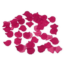 DIABLO PICANTE - 100 FUCHSIA PETALS - Sexshoptuga  Sexshoptuga 