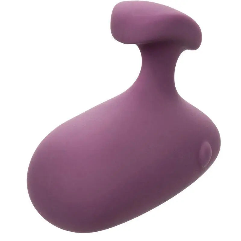 CALEXOTICS - ESTIMULADOR MOD TOUCH ROXO - Sexshoptuga 