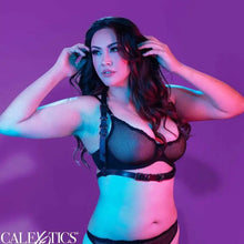 CALEXOTICS - EUPHORIA PLUS SIZE HALTER FIVELA ARNÊS PRETO - Sexshoptuga  Sexshoptuga 