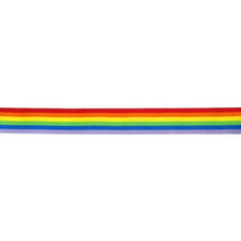 PRIDE - FAIXA DE BANDEIRA LGBT - Sexshoptuga  Sexshoptuga 