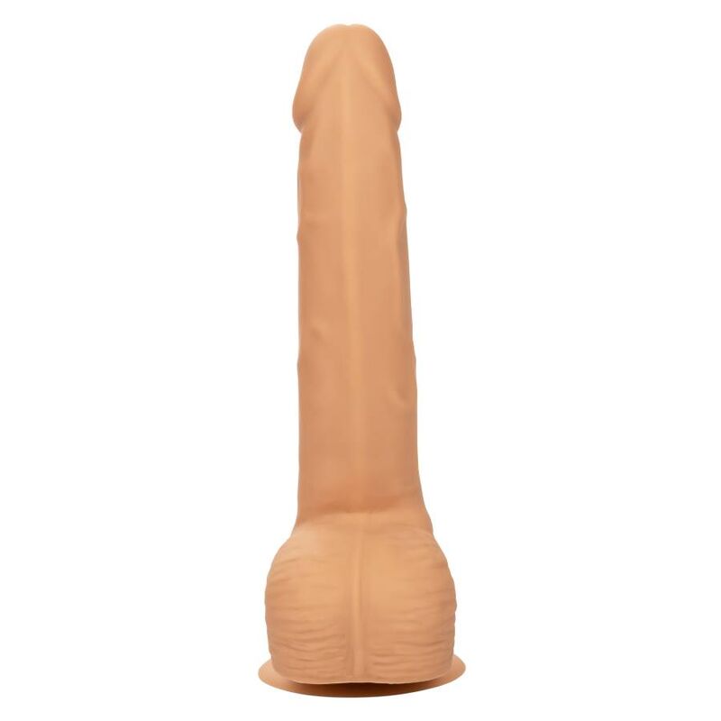 CALEXOTICS - SILICONE STUDS 20.32 CM PELE - Sexshoptuga 