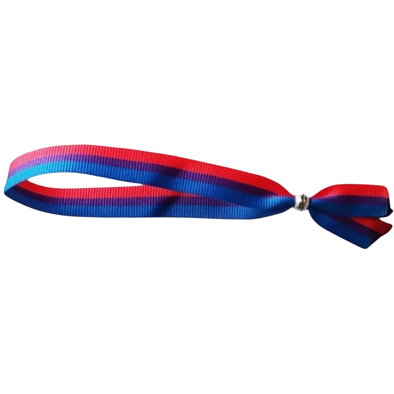 PRIDE - BISEXUAL BRACELET Sexshoptuga 