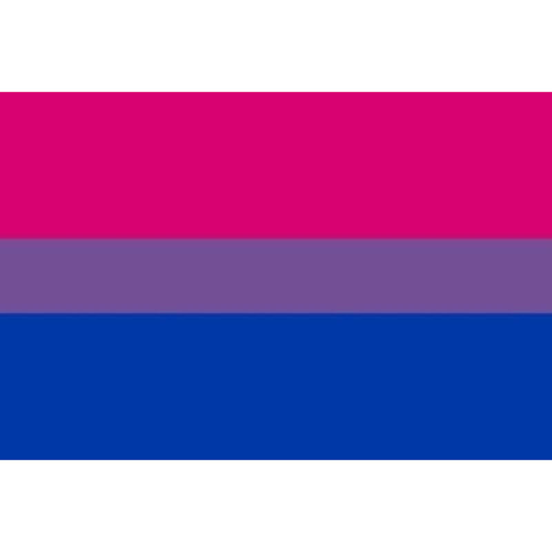 PRIDE - PULSEIRA BANDEIRA BISSEXUAL 90 X 150 - Sexshoptuga 