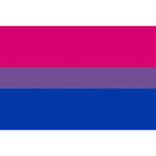 PRIDE - PULSEIRA BANDEIRA BISSEXUAL 90 X 150 - Sexshoptuga  Sexshoptuga 