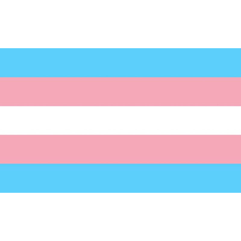 PRIDE - BANDEIRA TRANSEXUAL 90 X 150 - Sexshoptuga 