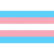 PRIDE - BANDEIRA TRANSEXUAL 90 X 150 - Sexshoptuga  Sexshoptuga 