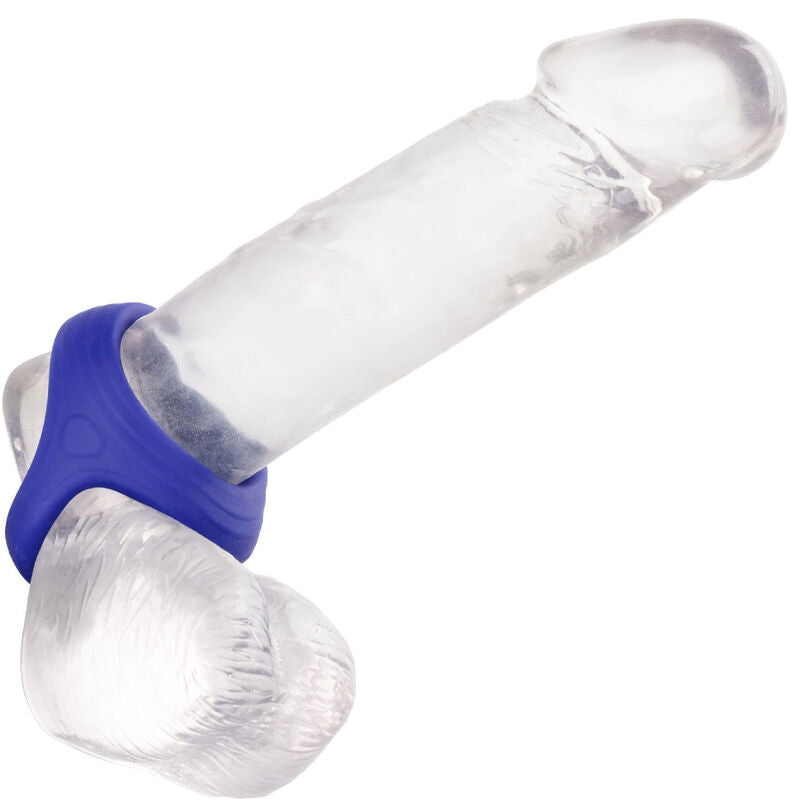 CALEXOTICS - ADMIRAL COCK BALL ANEL DUPLO AZUL - Sexshoptuga 