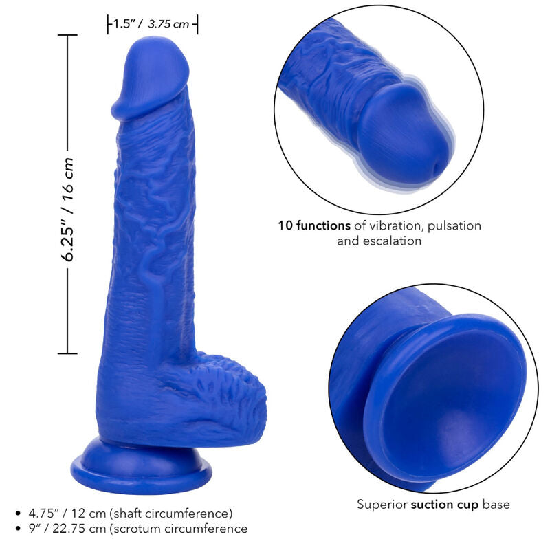 CALEXOTICS - ADMIRAL SAILOR REALISTIC DILDO VIBRADOR AZUL - Sexshoptuga 