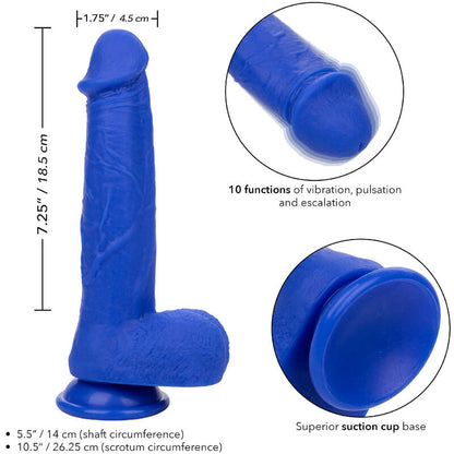 CALEXOTICS - ADMIRAL CAPTAIN REALISTIC DILDO VIBRADOR AZUL - Sexshoptuga 