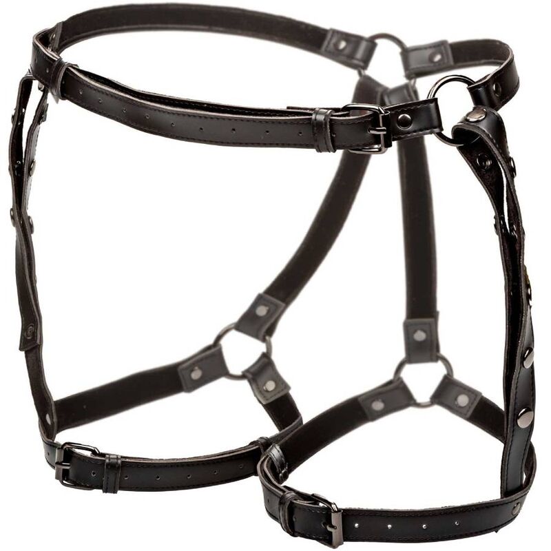 CALEXOTICS - EUPHORIA PLUS SIZE THIGH HARNESS Sexshoptuga 