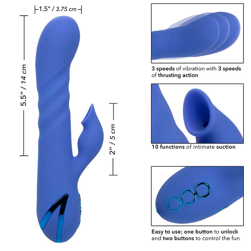 CALEXOTICS - LA LOVE VIBRADOR & SUCKER BLUE POR CALIFORNIA DREAMING Sexshoptuga 