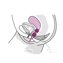 FUN FACTORY - SMARTBALLS PELVIC BALLS DUO BRANCO / PISTACHIO Sexshoptuga 