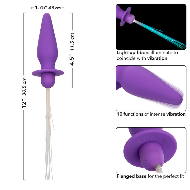 CALEXOTICS - SOUTHERN LIGHTS LIGHT UP ANAL PLUG 10 VIBRAÇÕES SILICONE ROXO Sexshoptuga 