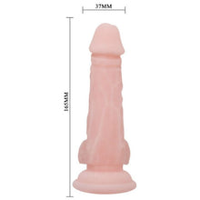 BAILE - DILDO NATURAL SUPER REALISTA 16.5 CM - Sexshoptuga  Sexshoptuga 