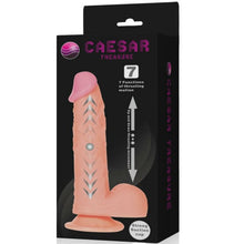 BAILE - CAESAR TREASURE REALISTIC DILDO UP & DOWN FUNÇÃO - Sexshoptuga  Sexshoptuga 