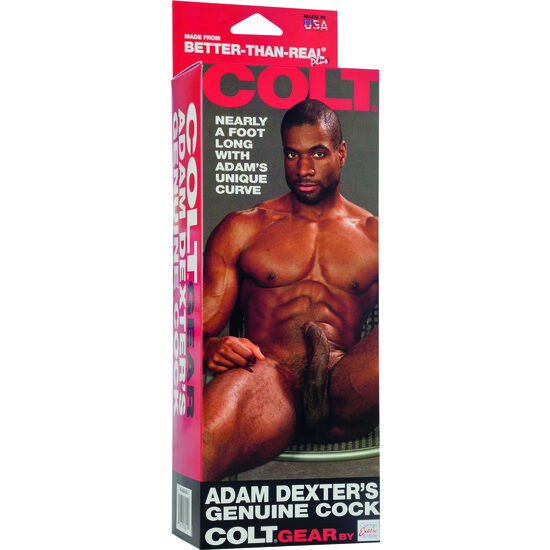 CALEXOTICS - PÊNIS REALÍSTICO COLT ADAM DEXTER - Sexshoptuga  Sexshoptuga 