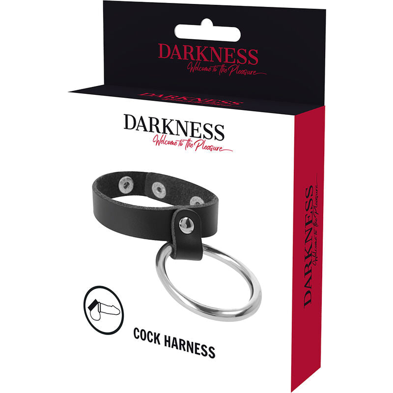 DARKNESS - ANEL DE METAL PARA PÊNIS E TESTÍCULOS - Sexshoptuga  Sexshoptuga 