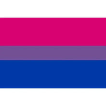 PRIDE - PULSEIRA BANDEIRA BISSEXUAL 90 X 150 - Sexshoptuga  Sexshoptuga 